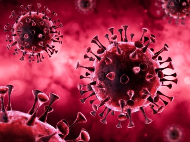 Virus bend in front of Ayurveda